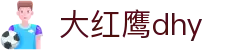 大红鹰dhy(中国)有限公司官网